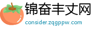 锦奋丰丈网